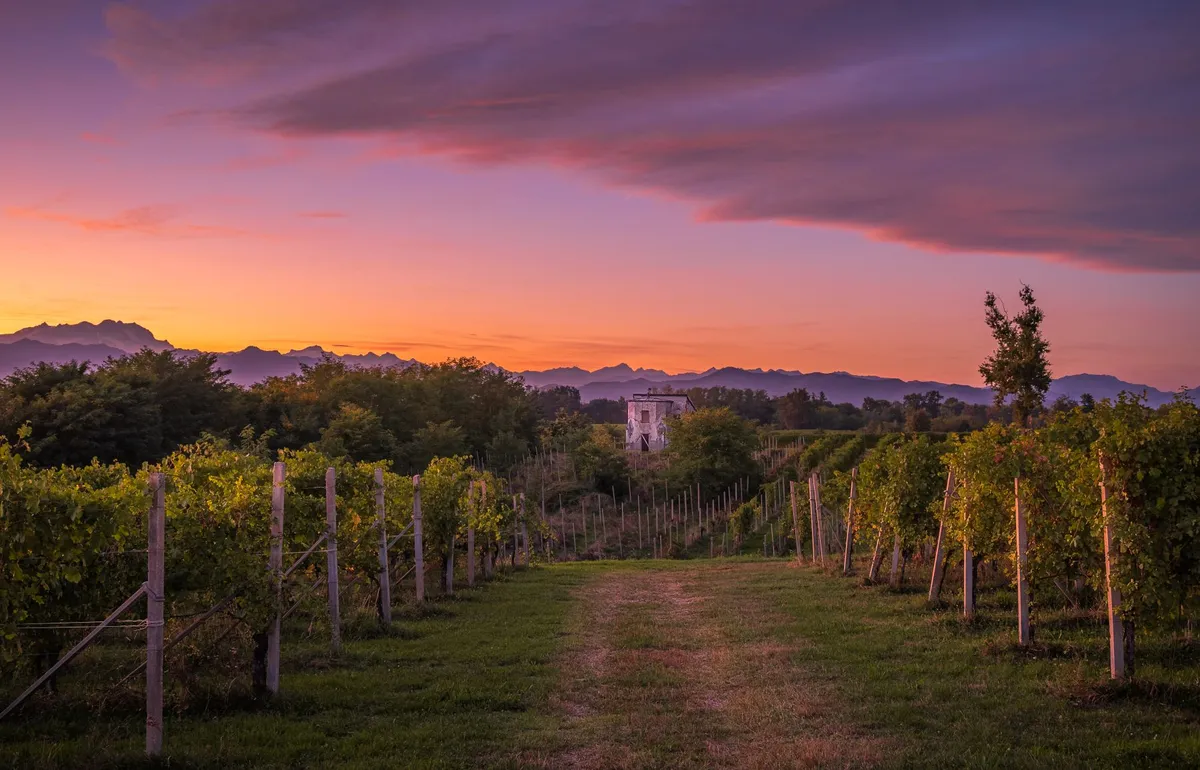Alto Piemonte: da Risò alle Notti del Vino, settembre sostenibile