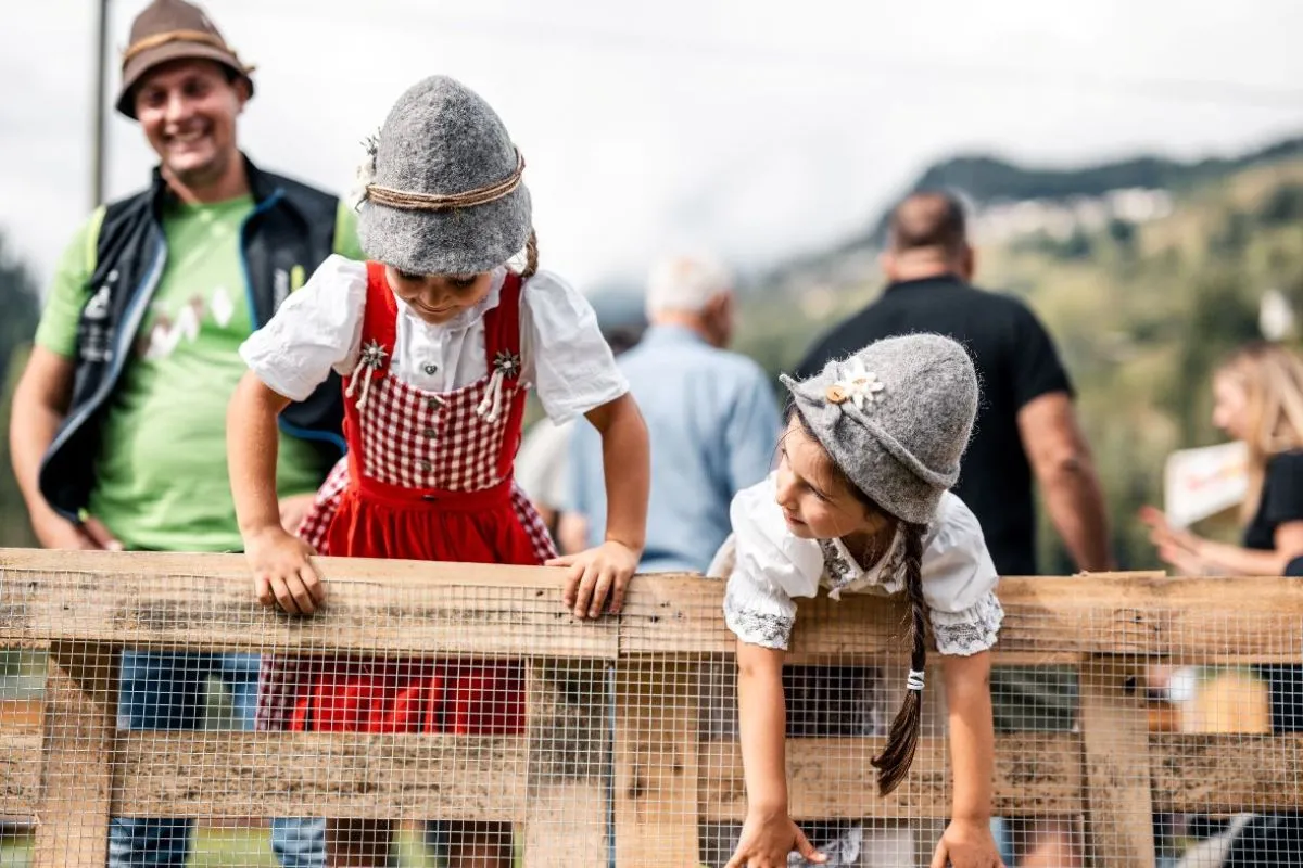 Festa dell'Agricoltura in Val di Pejo: Mercati e Antichi Mestieri