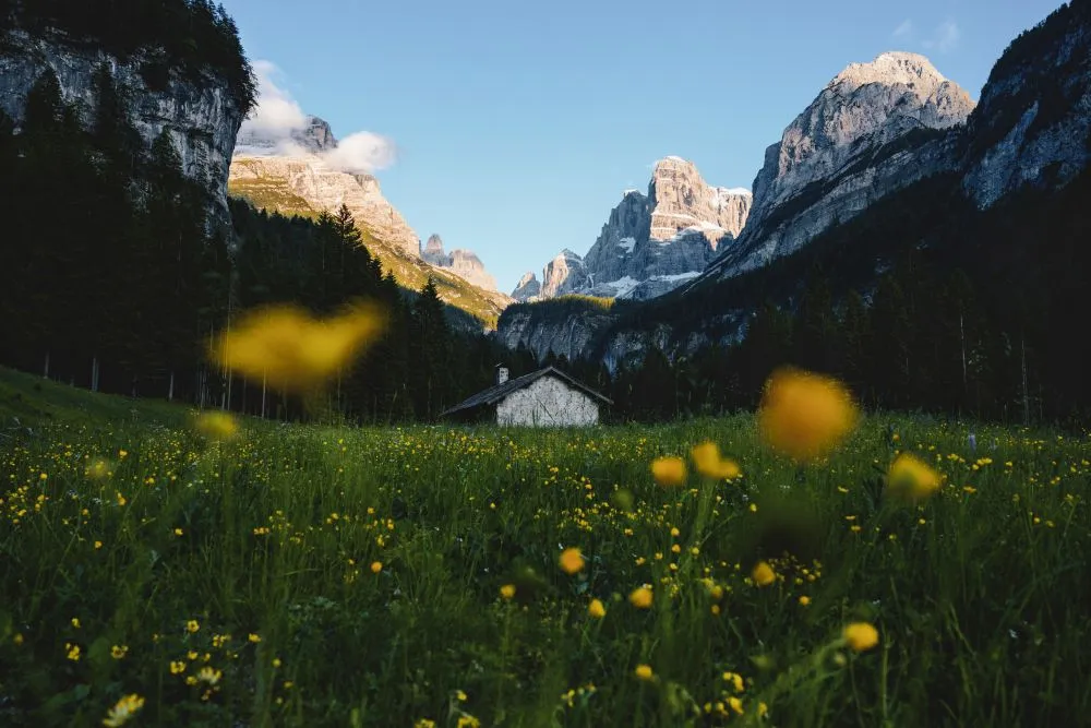 I Suoni delle Dolomiti 2026: programma della nuova settimana in quota