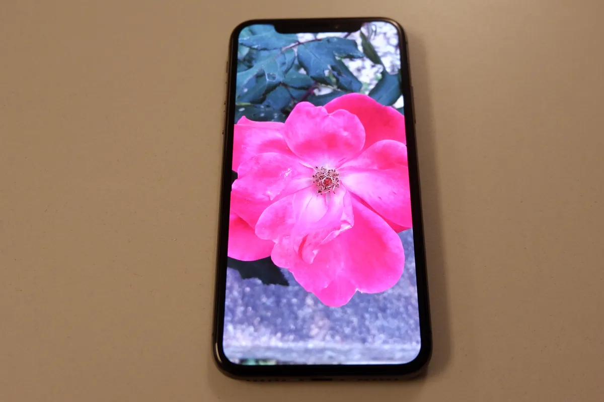 Apple iPhone X