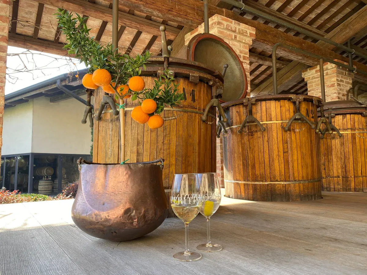 recensione-borgo-nonino-boutique-distilleria