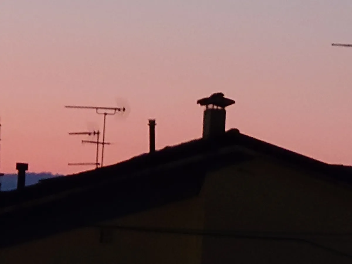 Recensione Sony Xperia 1 VII recensione: re della fotografia, ma non perfetto
