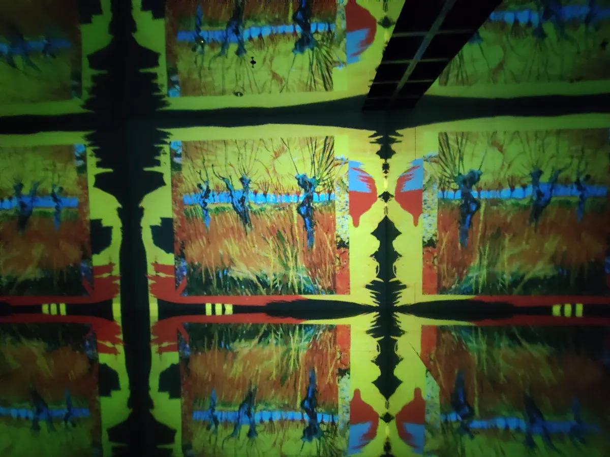Recensione Recensione Van Gogh. Il Sogno: Mostra Immersiva al Tiare Shopping