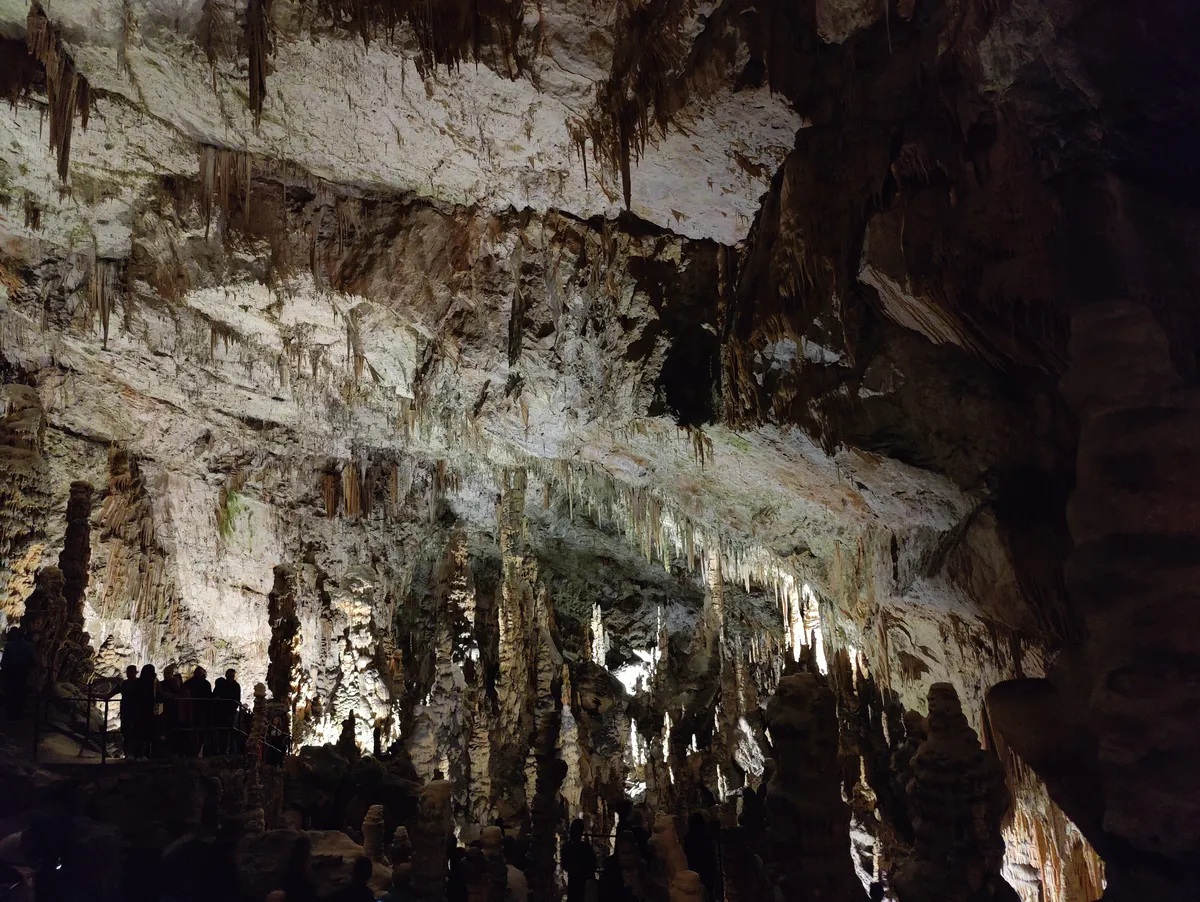 Recensione Recensione Grotte di Postumia: trenino, storia ed esperienza