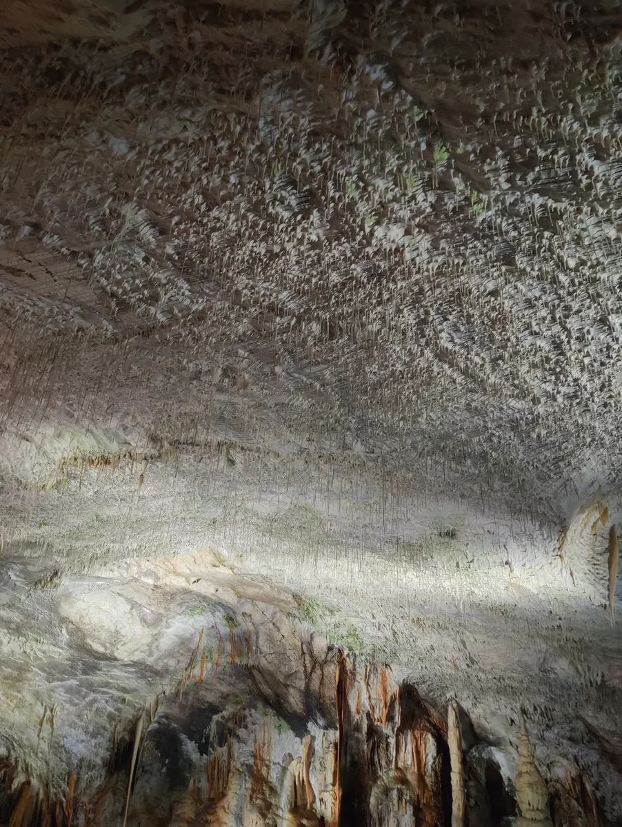 Recensione Recensione Grotte di Postumia: trenino, storia ed esperienza
