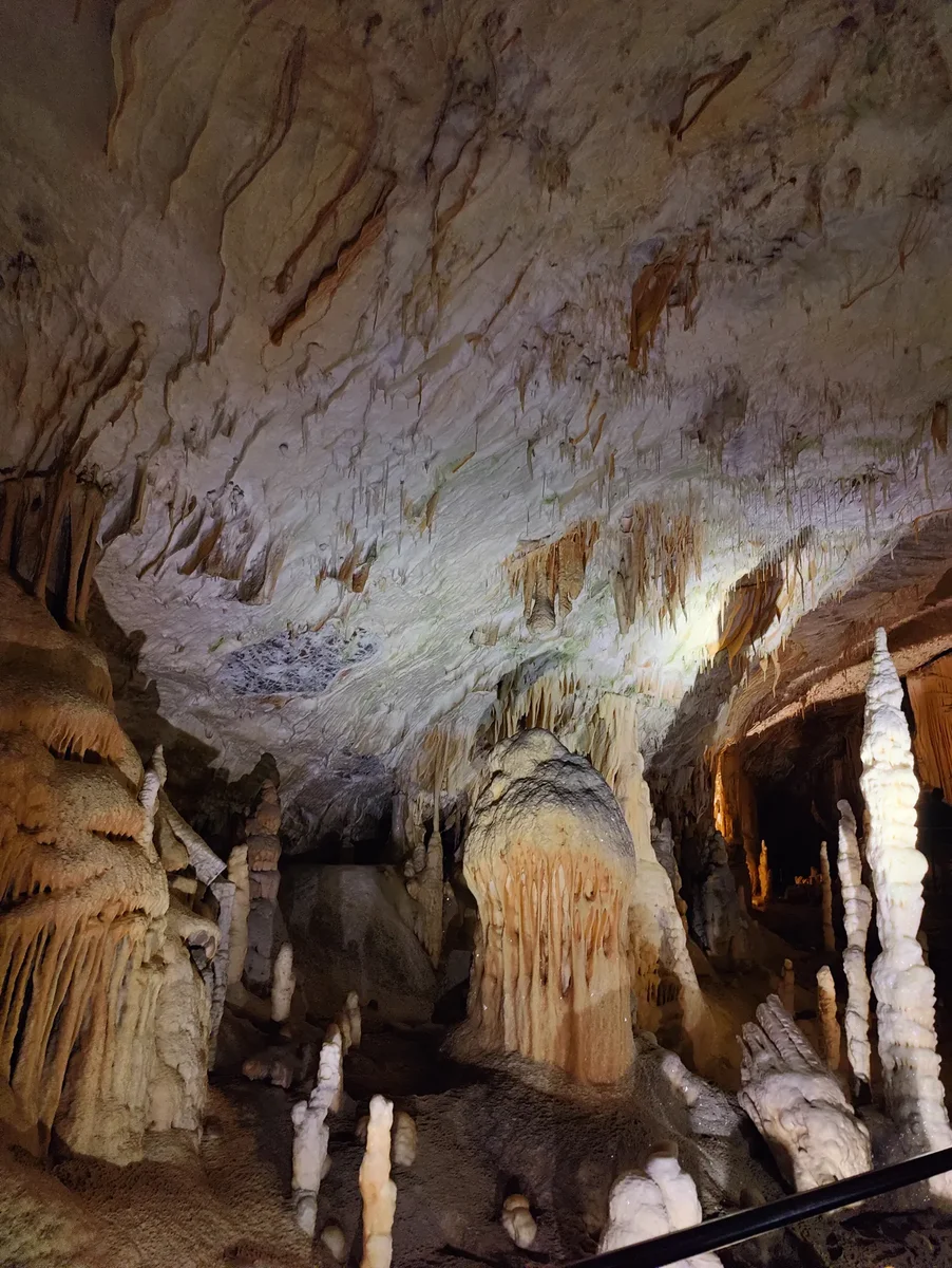 Recensione Recensione Grotte di Postumia: trenino, storia ed esperienza