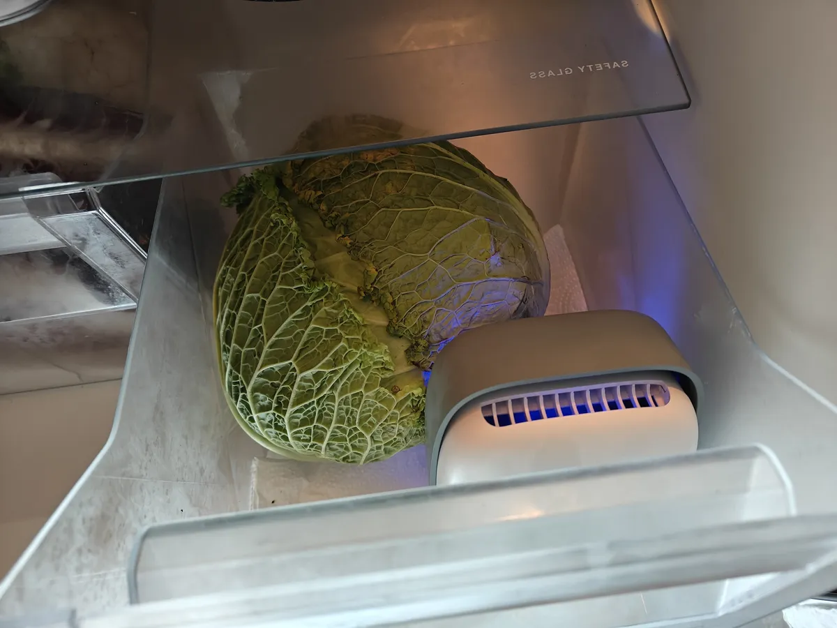 Recensione Recensione Vitesy Shelfy: Il Purificatore Smart Per Frigo Made in Italy