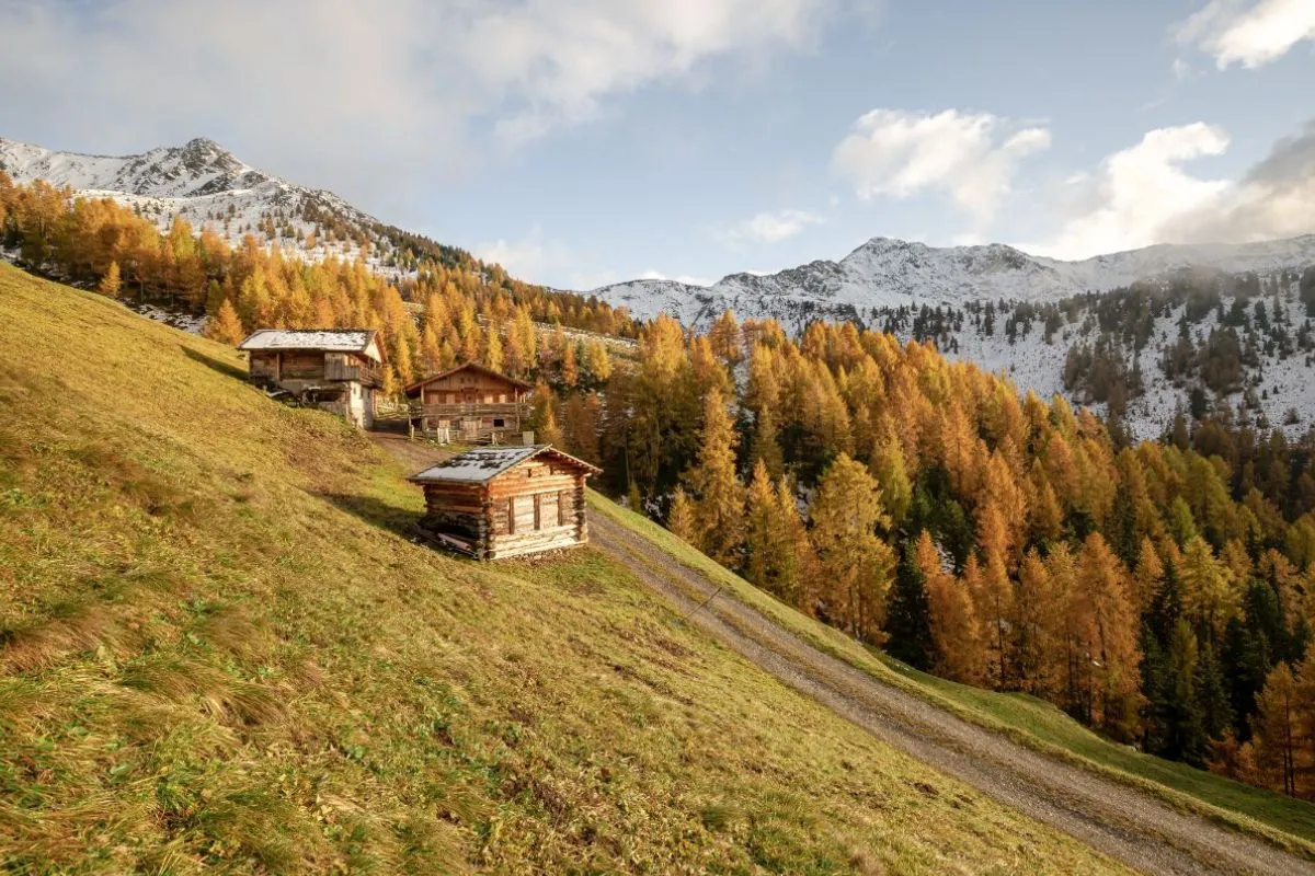 Val Casies: un'autentica celebrazione d'autunno nell'Alto Adige